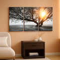 Tree Black and White Landscape Wall Art Set of 3 Framed Canvas – main view